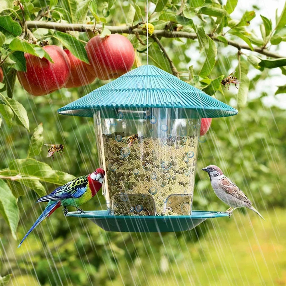 hanging-bird-feeder-with-automatic-seed-dispenser-41191061.jpg